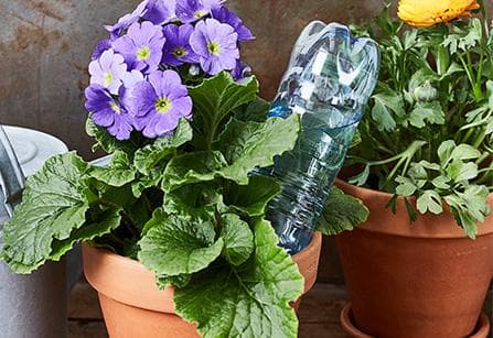 Indoor Garten – Gemüse anbauen in der Wohnung | Frisch Gekocht